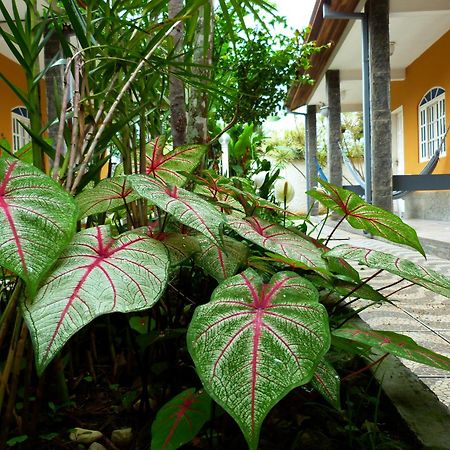 Villa Do Sonho Pousada Hotel Araquari Zewnętrze zdjęcie