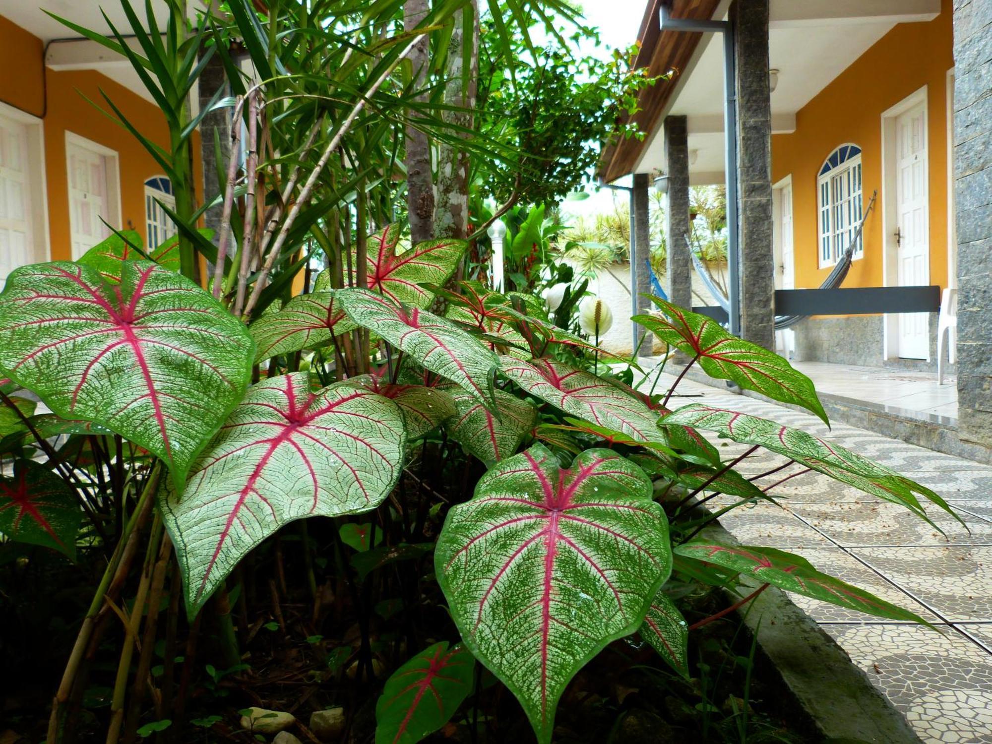 Villa Do Sonho Pousada Hotel Araquari Zewnętrze zdjęcie